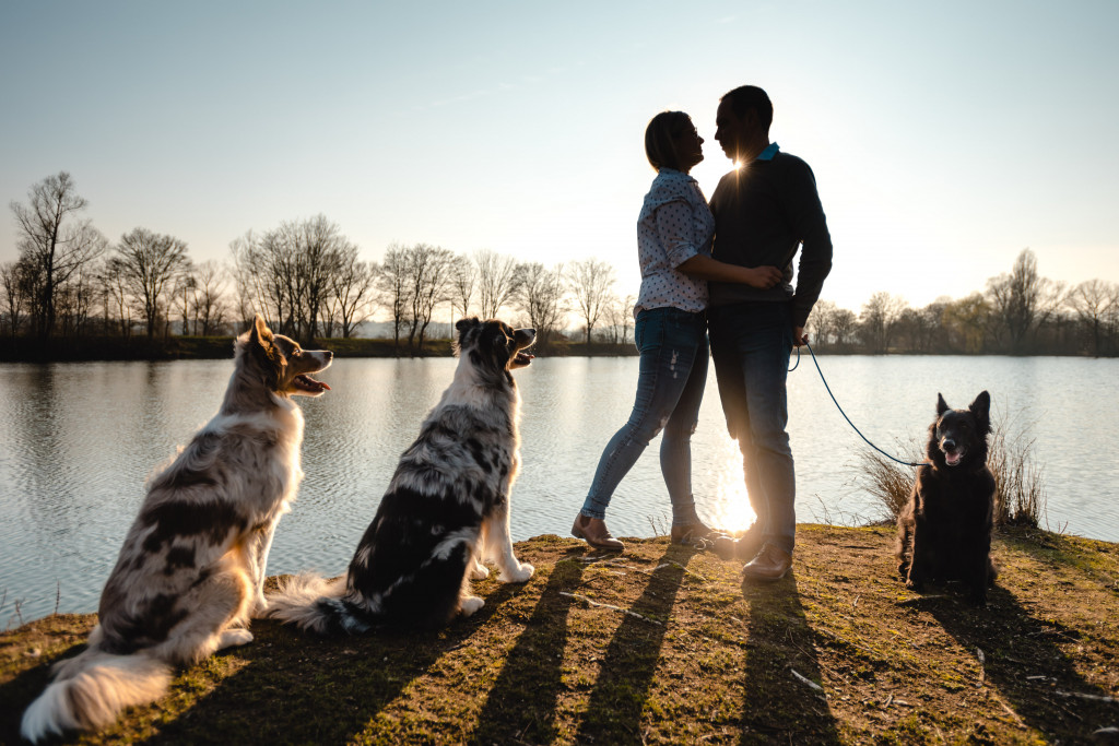 Kennenlern Fotoshooting Eschwege Alex Roman Werratalsee Meinhardsee Trauung Hochzeit Hochzeitsfotograf