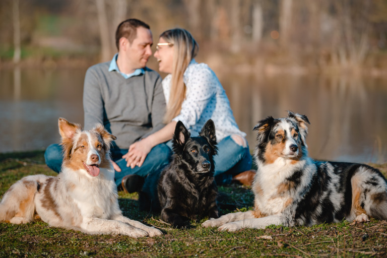 Kennenlern Fotoshooting Eschwege Alex Roman Werratalsee Meinhardsee Trauung Hochzeit Hochzeitsfotograf